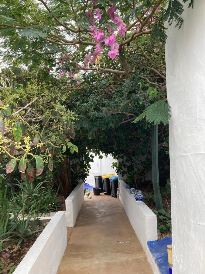 Apartamentos Y Habitaciones Villa Marina La Caleta  Εξωτερικό φωτογραφία