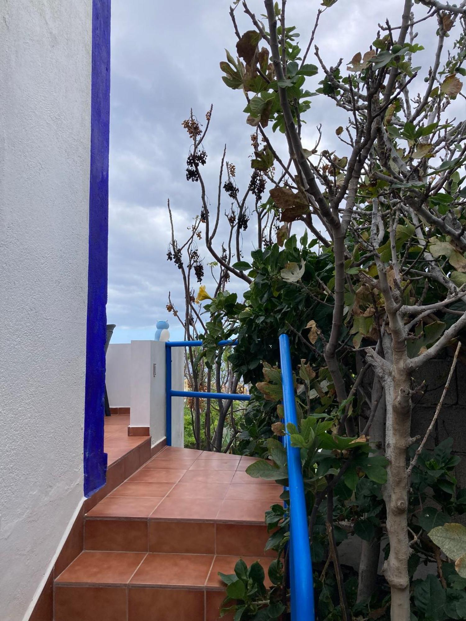 Apartamentos Y Habitaciones Villa Marina La Caleta  Δωμάτιο φωτογραφία