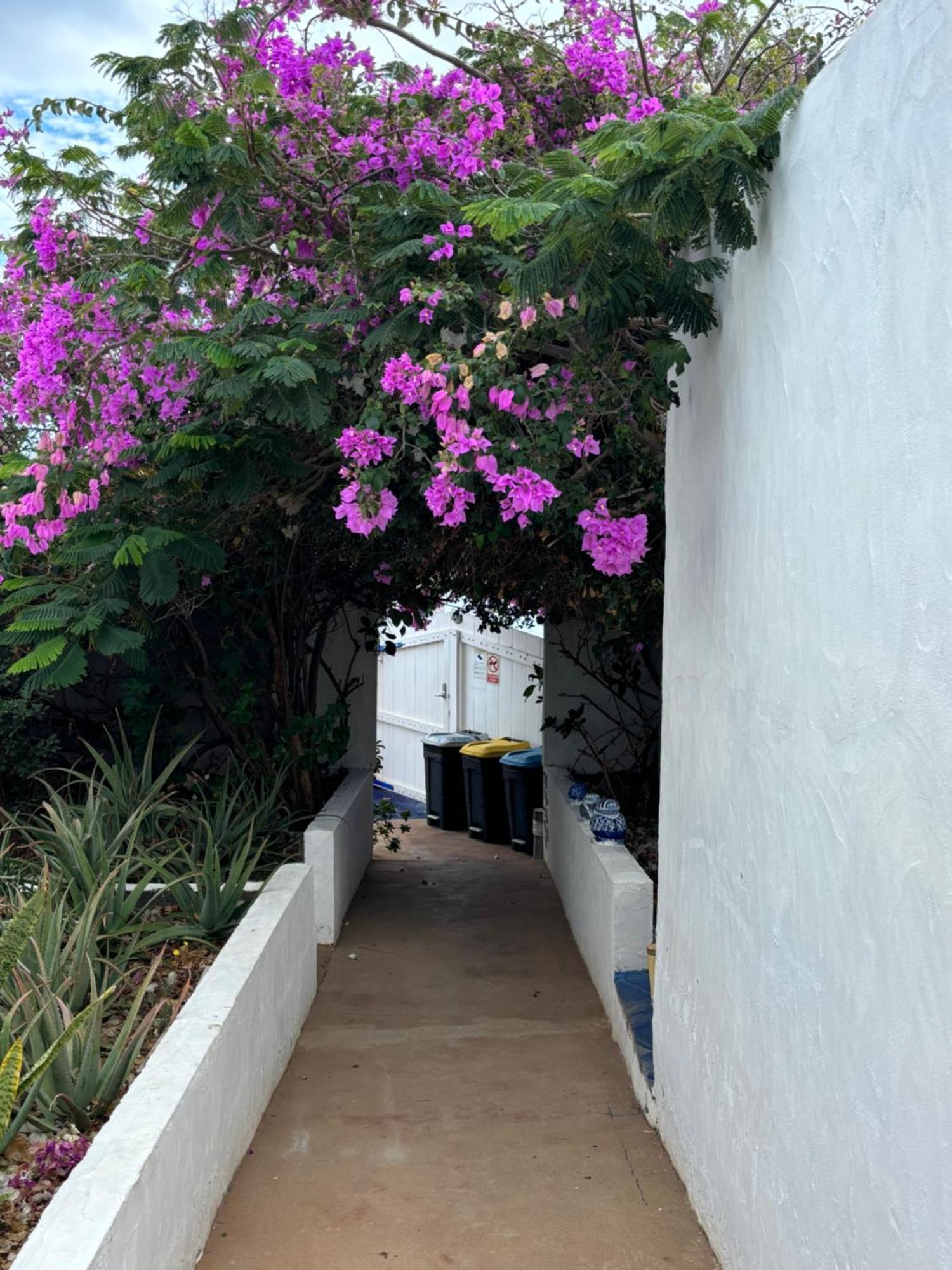 Apartamentos Y Habitaciones Villa Marina La Caleta  Εξωτερικό φωτογραφία