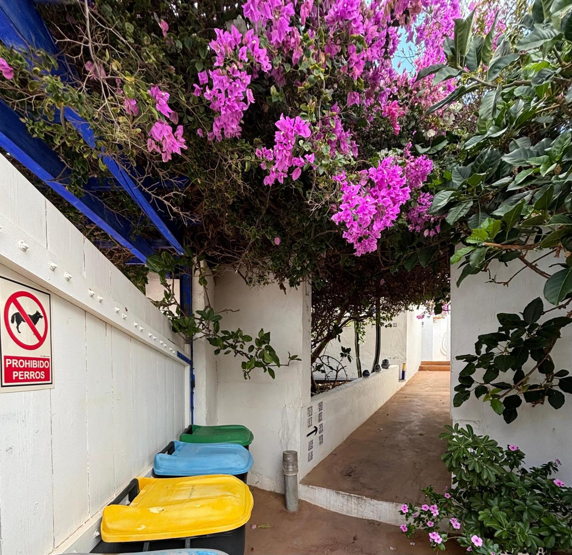 Apartamentos Y Habitaciones Villa Marina La Caleta  Εξωτερικό φωτογραφία
