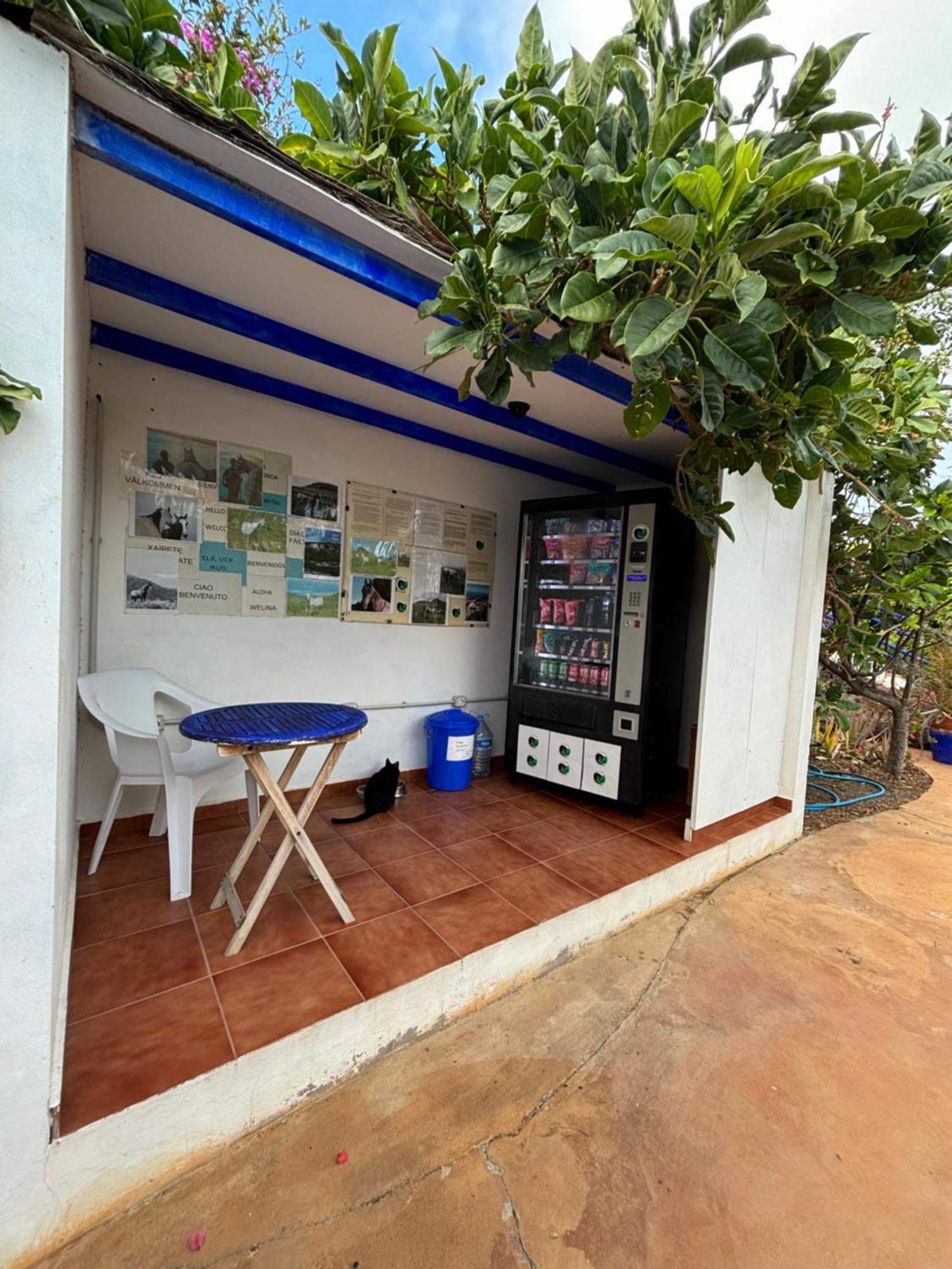 Apartamentos Y Habitaciones Villa Marina La Caleta  Εξωτερικό φωτογραφία