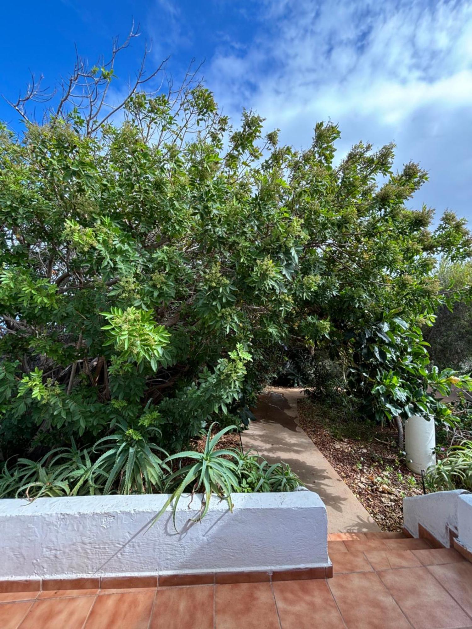 Apartamentos Y Habitaciones Villa Marina La Caleta  Εξωτερικό φωτογραφία