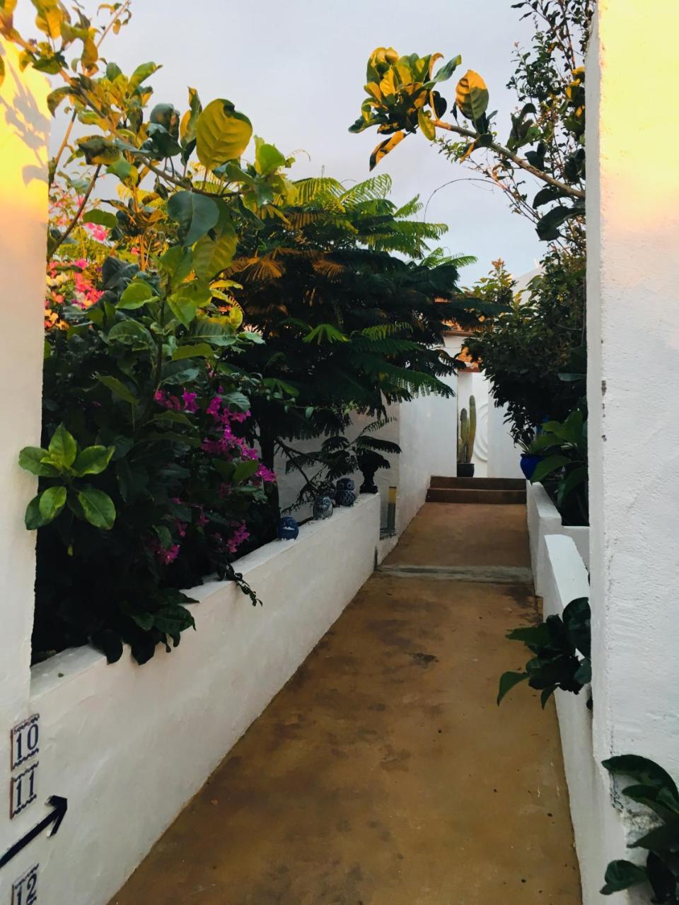 Apartamentos Y Habitaciones Villa Marina La Caleta  Εξωτερικό φωτογραφία