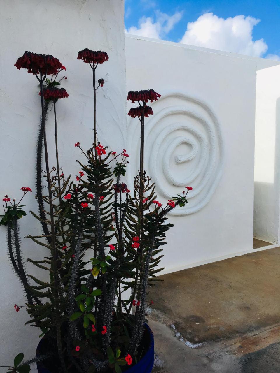 Apartamentos Y Habitaciones Villa Marina La Caleta  Εξωτερικό φωτογραφία