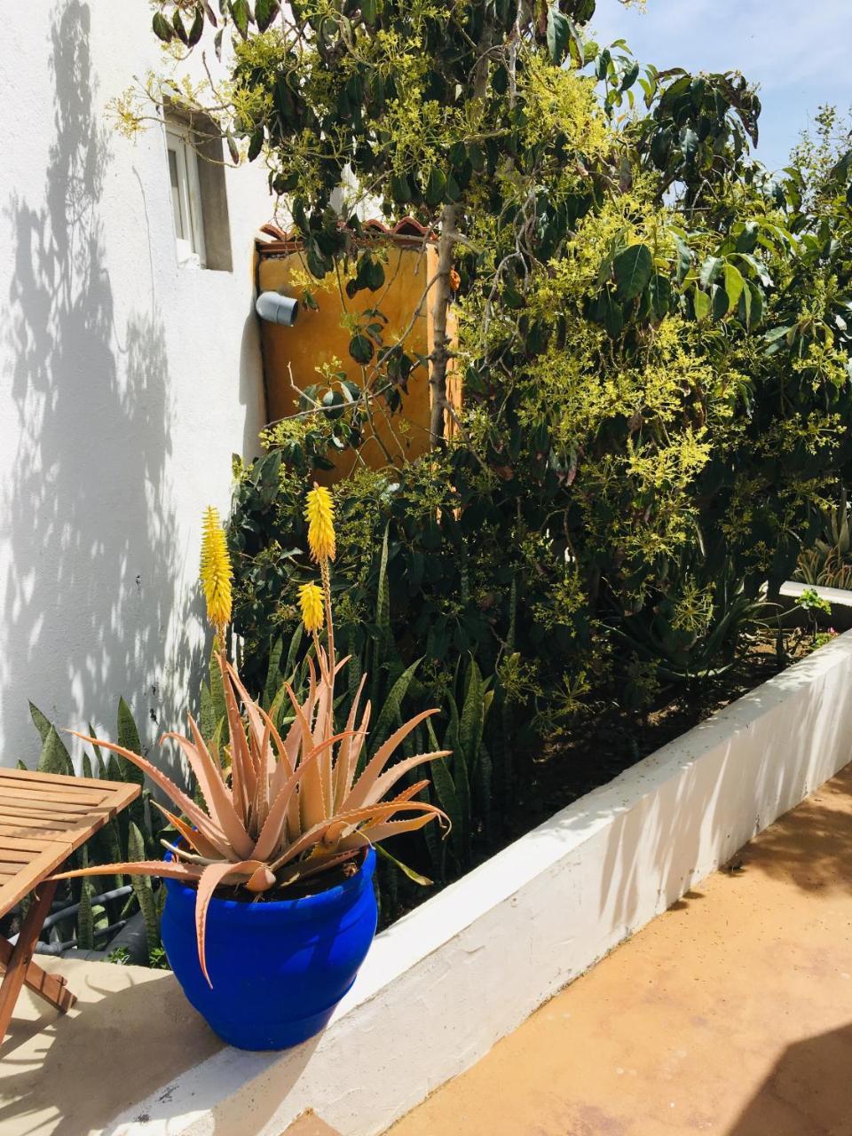 Apartamentos Y Habitaciones Villa Marina La Caleta  Εξωτερικό φωτογραφία